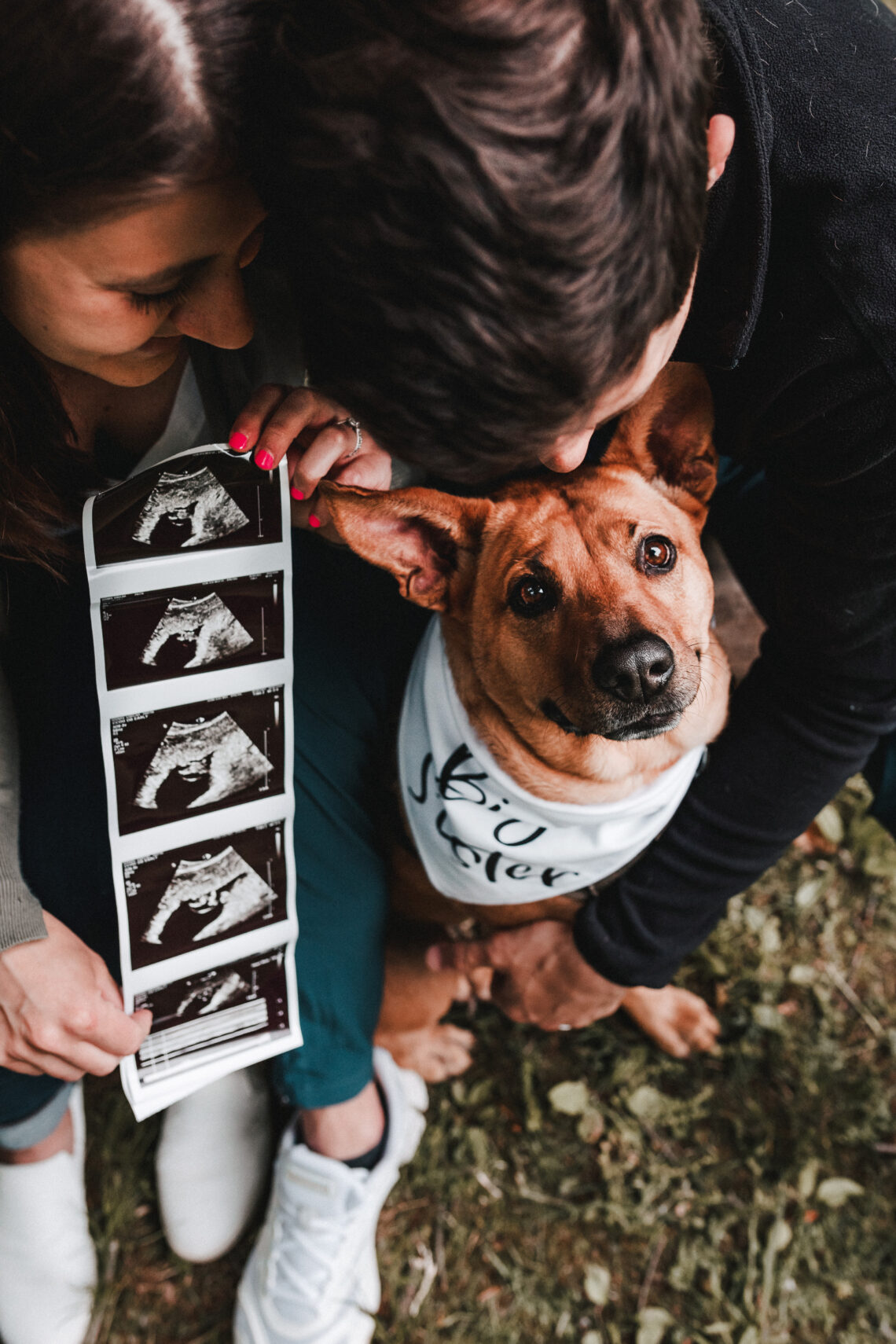 couple with their dog baby reveal pet photography family photography