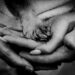 end of life photography black and white paw with hands