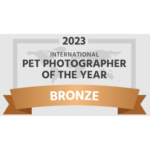 award-winning ct pet photographer of the year 2023