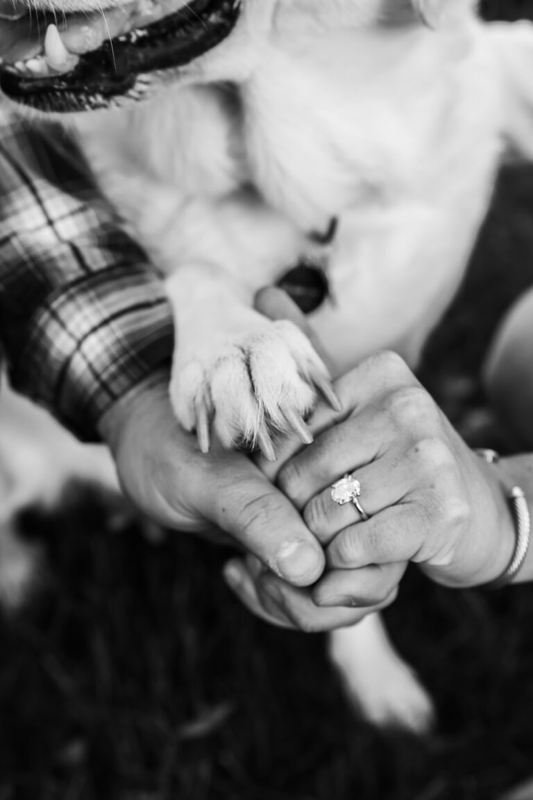 engagement photos with couple and their dog