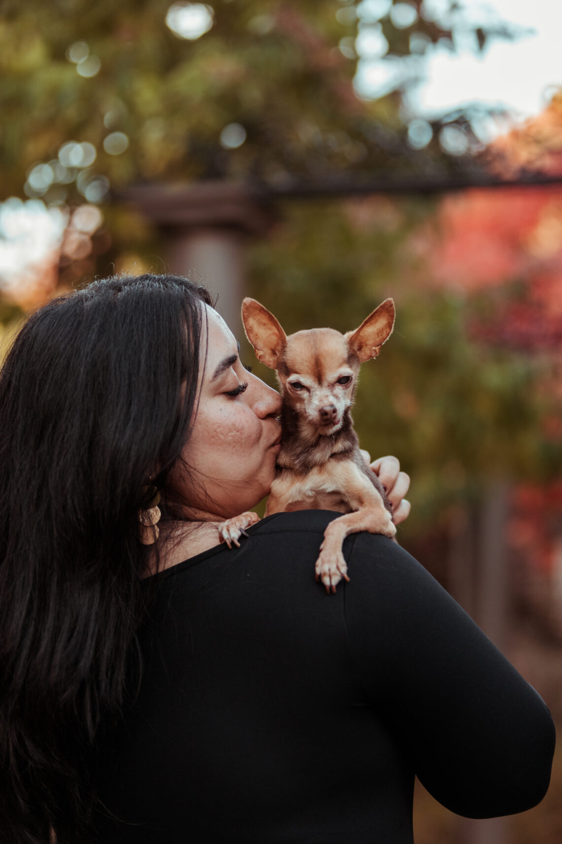 chihuahua with owner professional pet photography