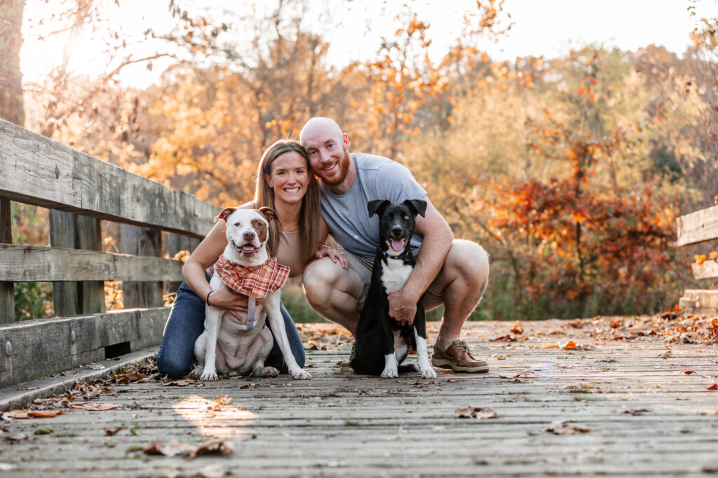 couple with dogs on bridge in woods pet photography