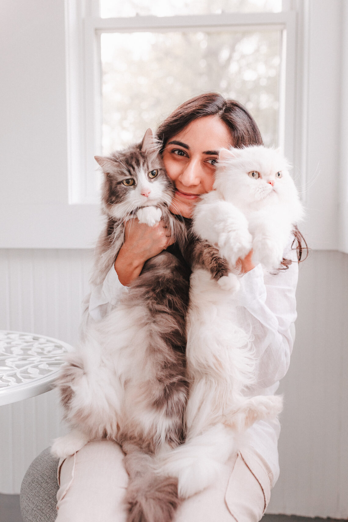 cats posing with owner cat photography ct professional pet photography