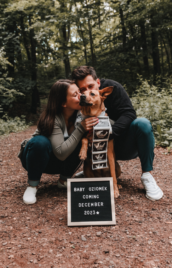 CT pet photographer professional pet photography outdoor natural lighting dog and owner baby announcement couples with pets