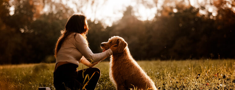 ct pet photographer photo of dog with girl at beautiful sunset in ct