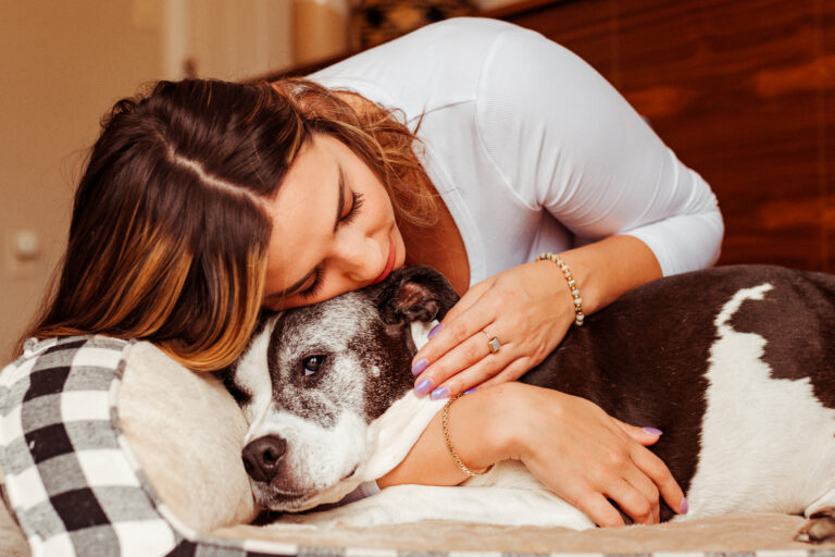 end of life pet photographer CT