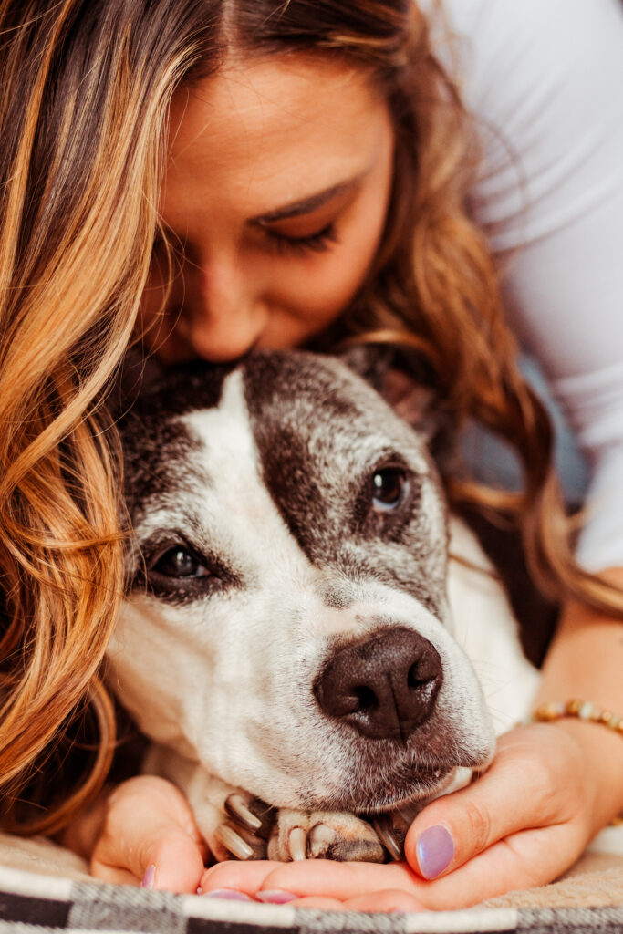 ct end of life pet photography