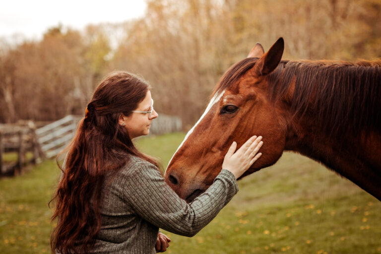 equine photographer ct pet photography end of life photographer