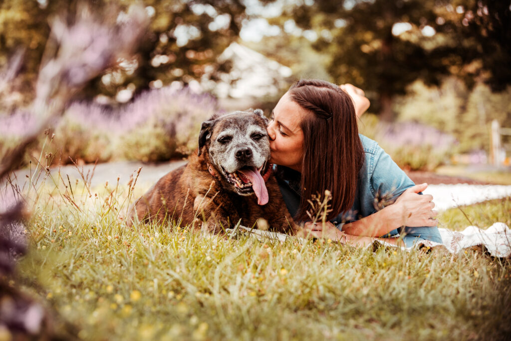 lavender pond farm mini sessions ct professional photography