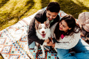 couple sitting with their border collie in the spring professional CT pet photography