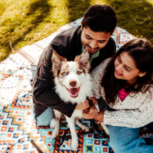 couple sitting with their border collie in the spring professional CT pet photography