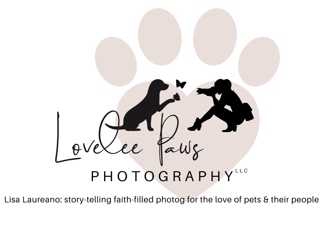 Lovelee Paws CT Photography