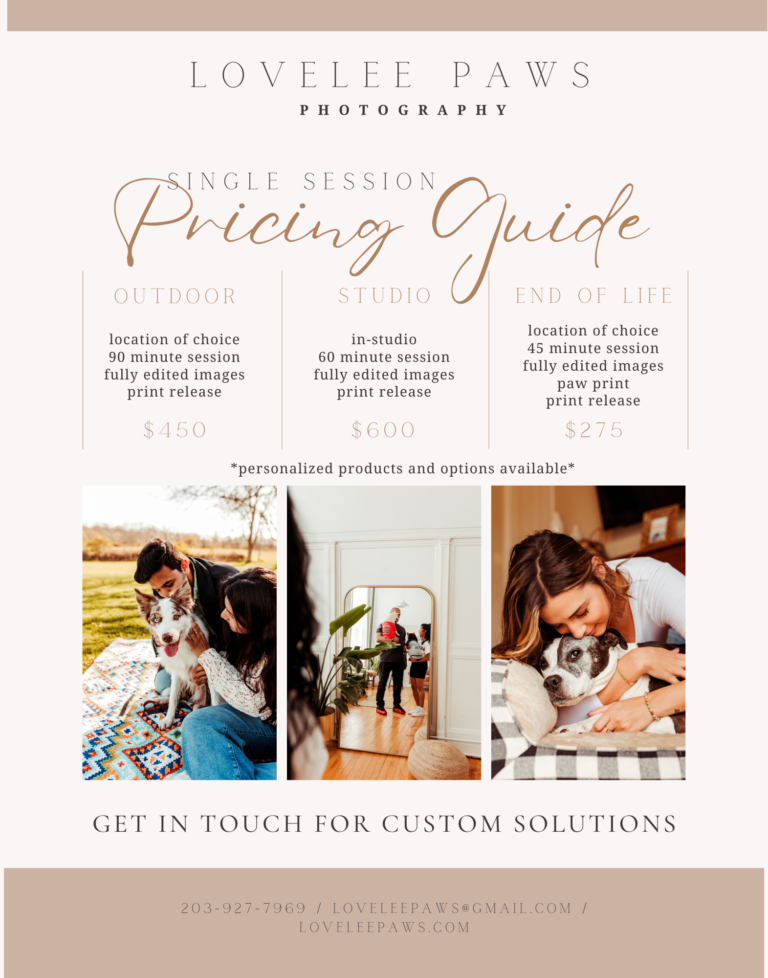 lovelee paws photography professional photo pricing guide