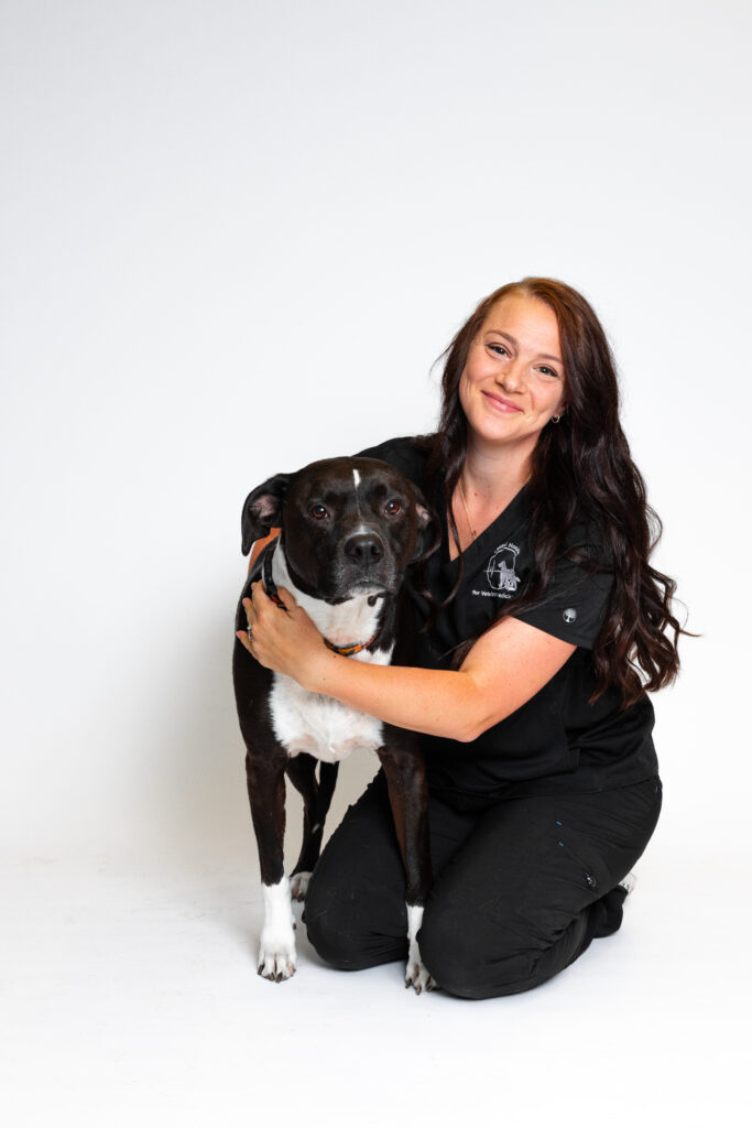 veterinary professional headshot photos 