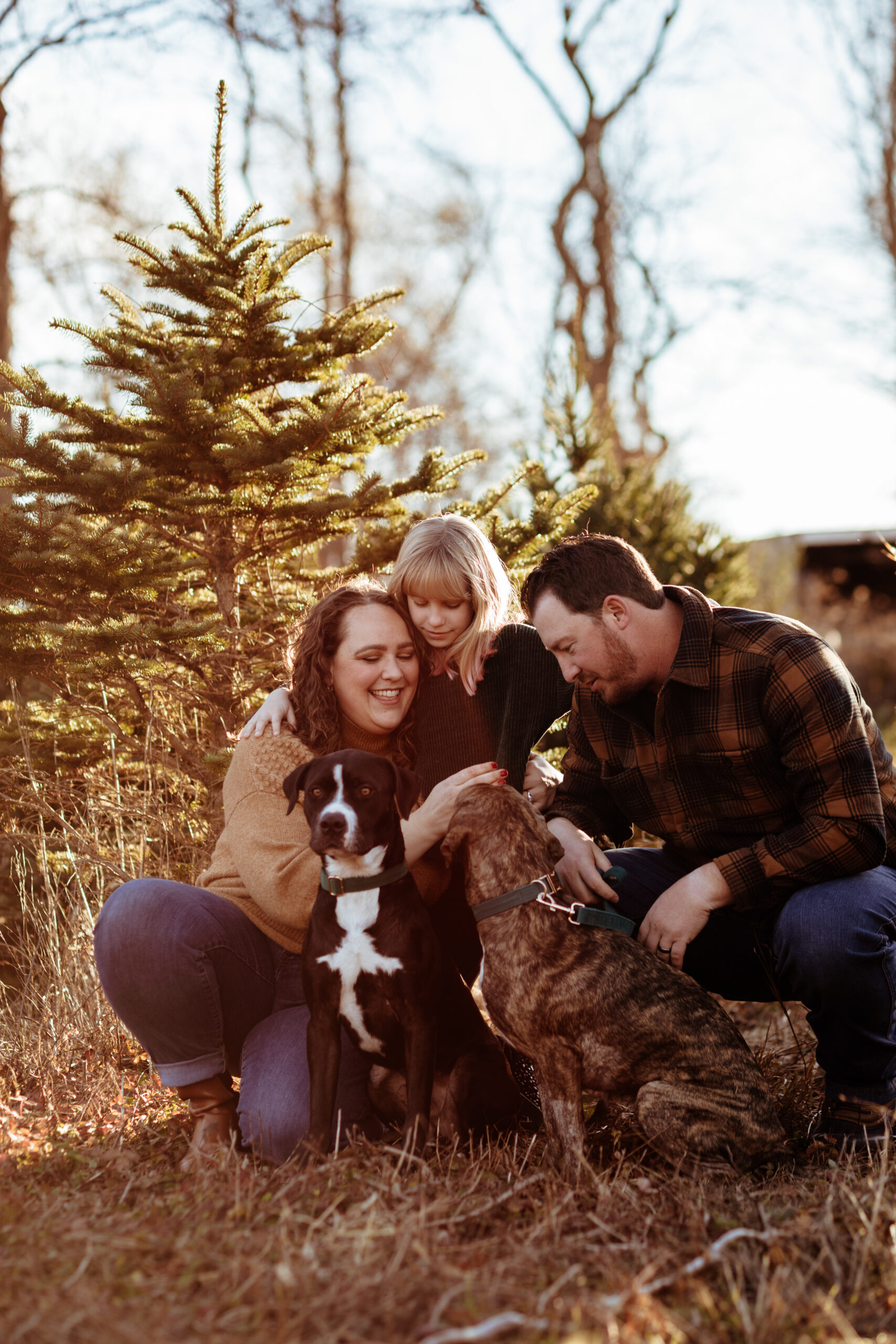 family photoshoot of a family with their dog at a christmas tree farm professional photoshoot