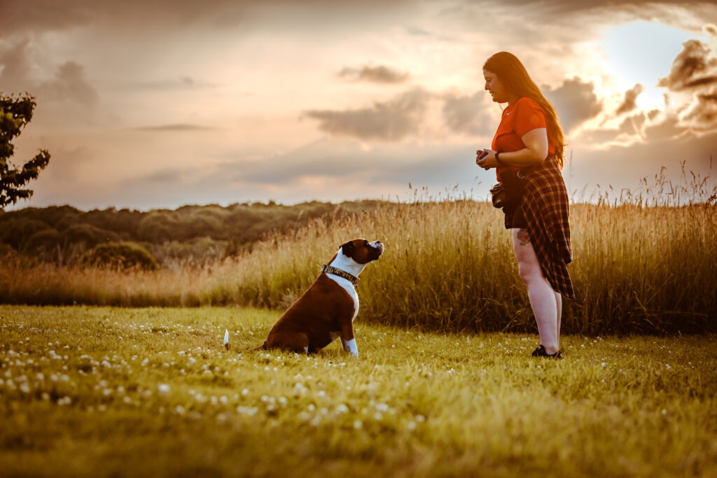 CT pet photographer professional pet photography outdoor natural lighting dog and owner