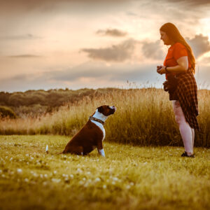 CT pet photographer professional pet photography outdoor natural lighting dog and owner