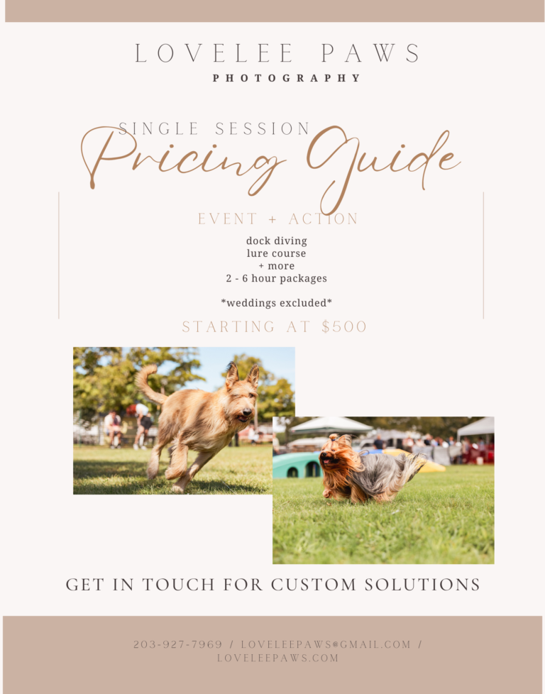 lure course photography professional action pet photographer