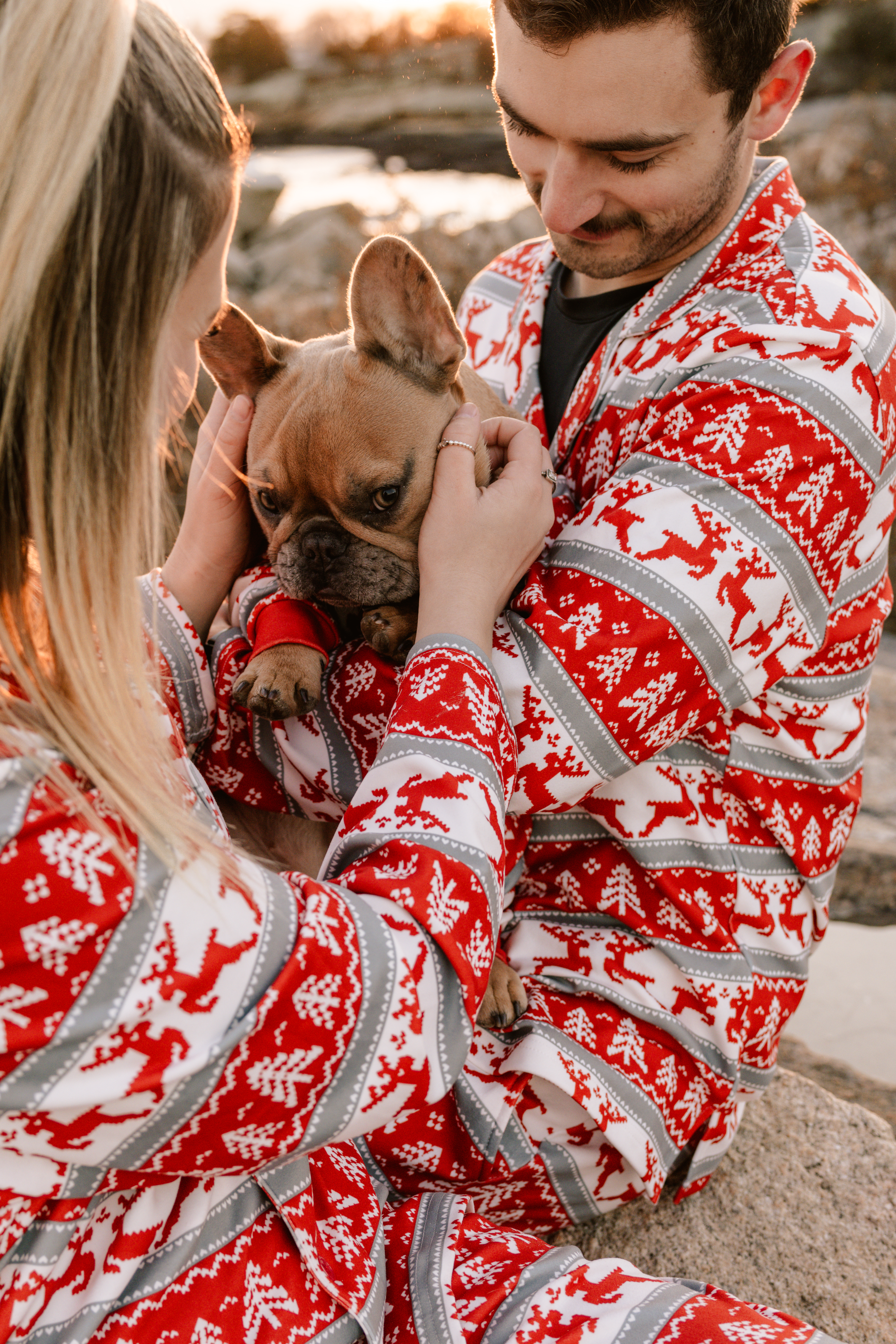 christmas photo couple with matching pajamas french bulldog professional pet photography