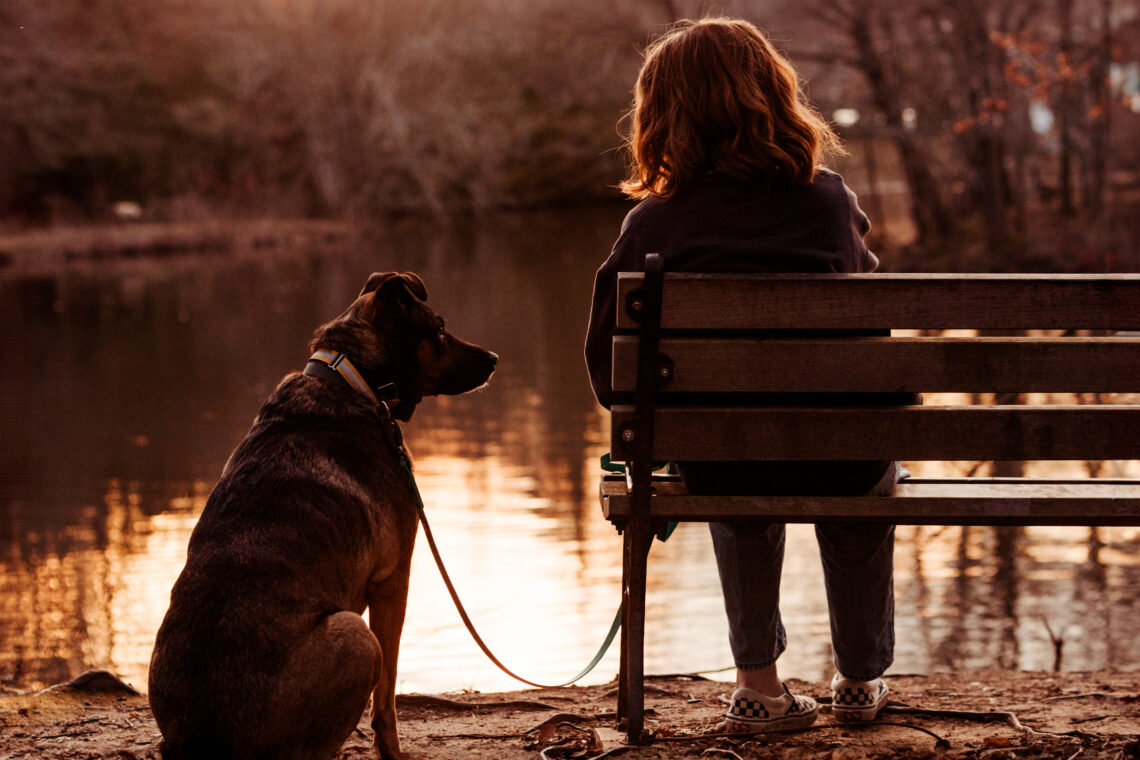 girl and her dog at sunset CT professional pet photographer