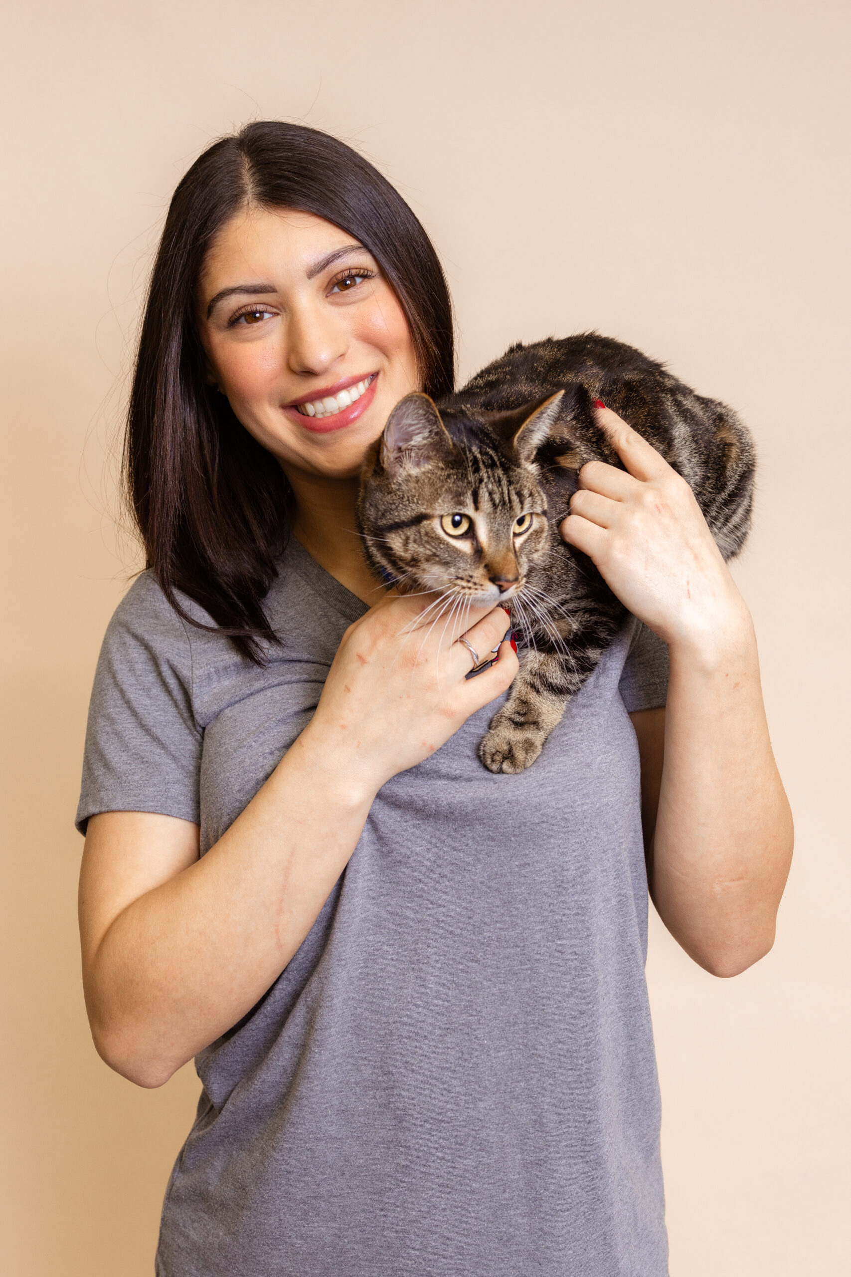 Studio professional photography cat photo banding session