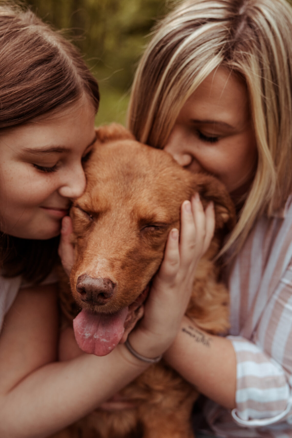 professional CT pet photographer end of life photography