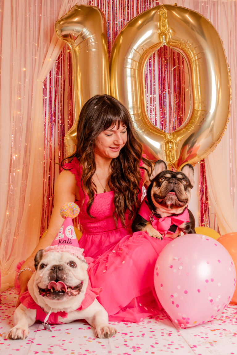 Connecticut pet photography studio