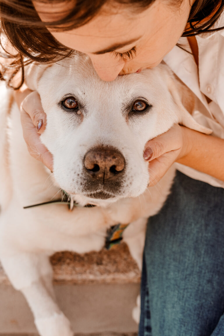 Connecticut dog photography pricing. professional pet photographer in CT